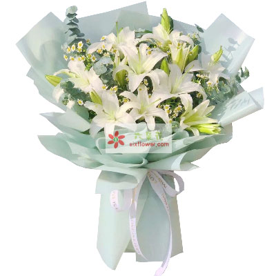 通辽6支白色多头百合，温馨的祝福