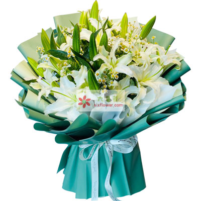 通辽8支白色多头百合洋甘菊，如潮的思念