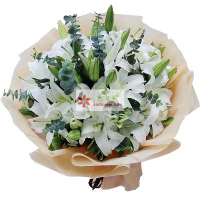 通辽9支白色多头百合，祝福你幸福